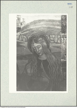 Vorderseite von bh308046_recto