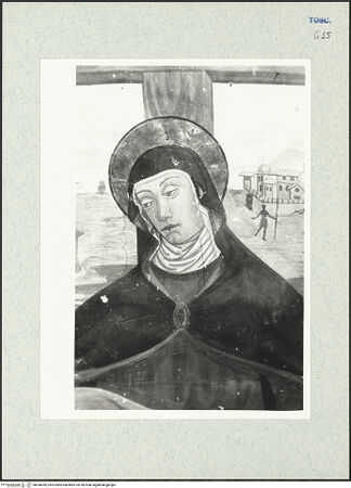 Vorderseite von bh308049_recto