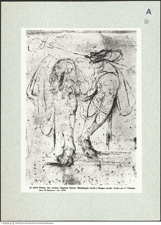 Vorderseite von bh308075_recto