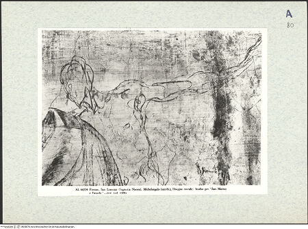 Vorderseite von bh308078_recto