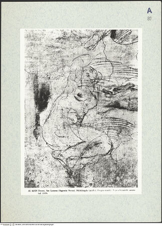 Vorderseite von bh308081_recto