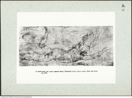 Vorderseite von bh308082_recto