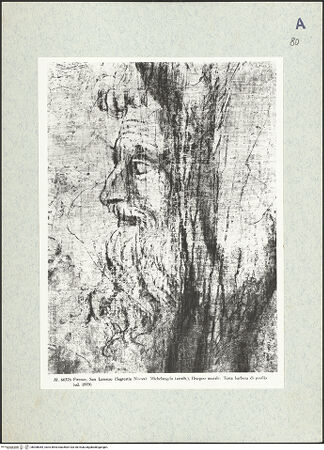 Vorderseite von bh308084_recto