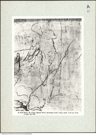 Vorderseite von bh308085_recto