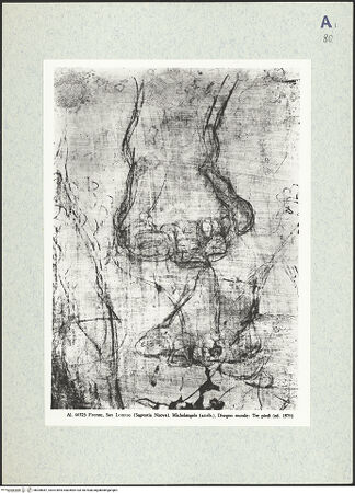 Vorderseite von bh308087_recto