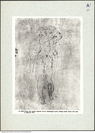 Vorderseite von bh308088_recto