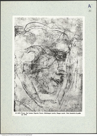 Vorderseite von bh308089_recto