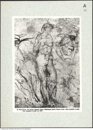 Vorderseite von bh308090_recto