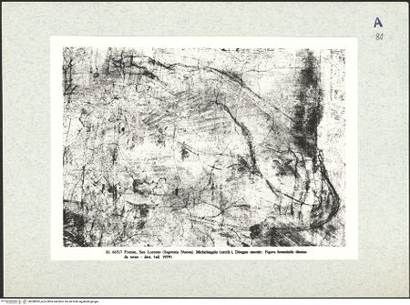 Vorderseite von bh308093_recto