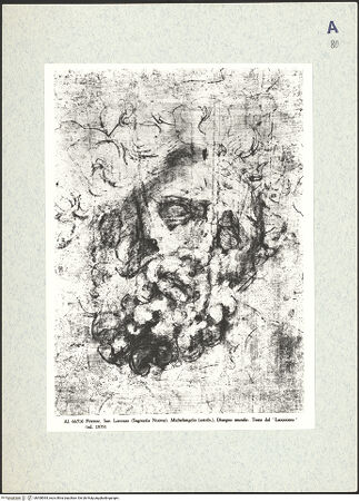 Vorderseite von bh308094_recto