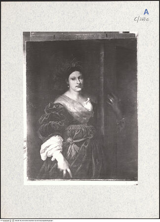 Vorderseite von bh308150_recto