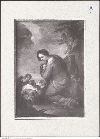 Vorderseite von bh308176_recto