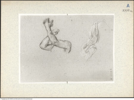 Vorderseite von bh308323_recto