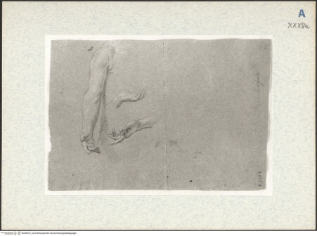 Vorderseite von bh308341_recto