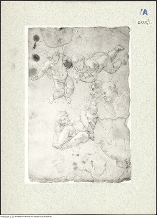 Vorderseite von bh308352_recto