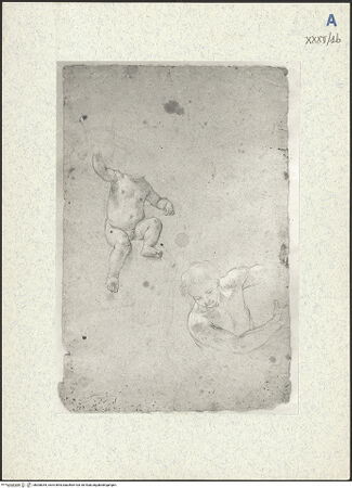 Vorderseite von bh308354_recto