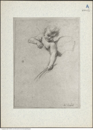 Vorderseite von bh308407_recto