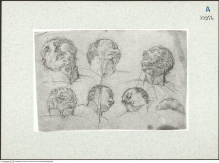 Vorderseite von bh308408_recto