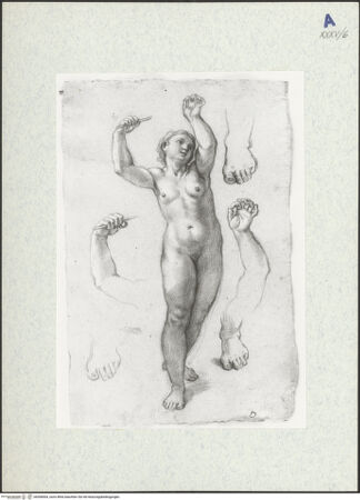 Vorderseite von bh308504_recto