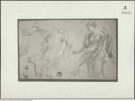 Vorderseite von bh308558_recto