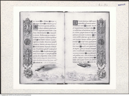 Vorderseite von bh309027_recto