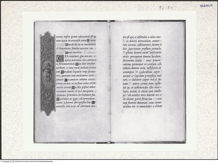 Vorderseite von bh309028_recto