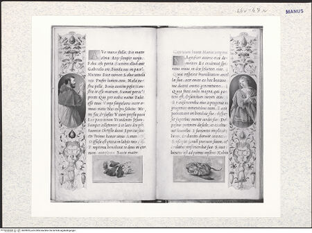 Vorderseite von bh309035_recto