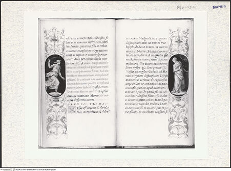 Vorderseite von bh309037_recto