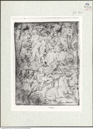 Vorderseite von bh309077_recto