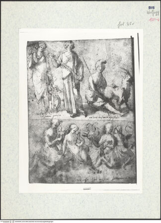 Vorderseite von bh309095_recto