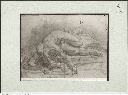 Vorderseite von bh309127_recto