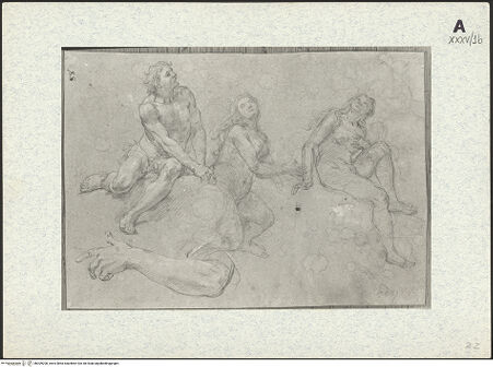 Vorderseite von bh309200_recto