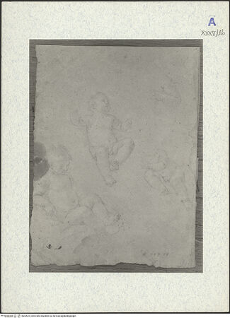 Vorderseite von bh309210_recto