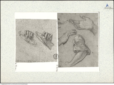 Vorderseite von bh309271_recto