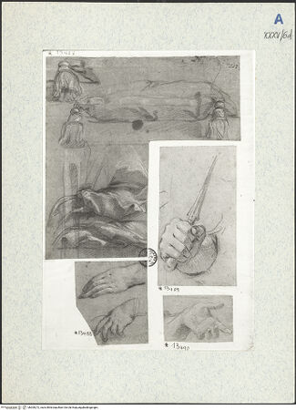 Vorderseite von bh309272_recto