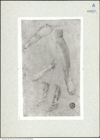 Vorderseite von bh309274_recto