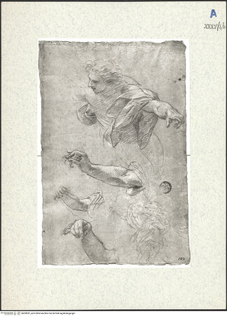 Vorderseite von bh309281_recto