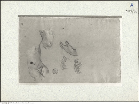 Vorderseite von bh309282_recto