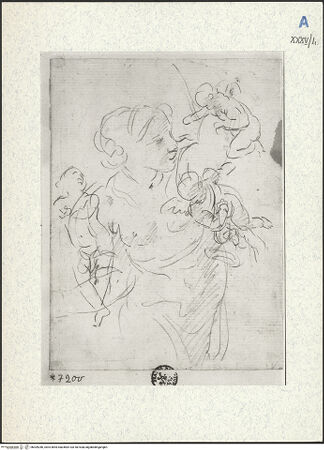 Vorderseite von bh309286_recto