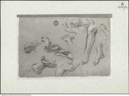 Vorderseite von bh309288_recto