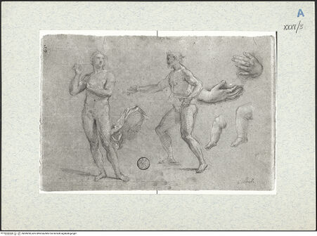 Vorderseite von bh309290_recto