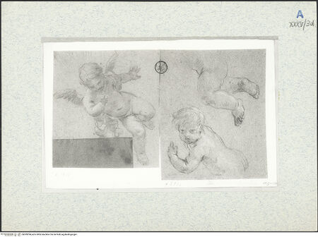 Vorderseite von bh309294_recto