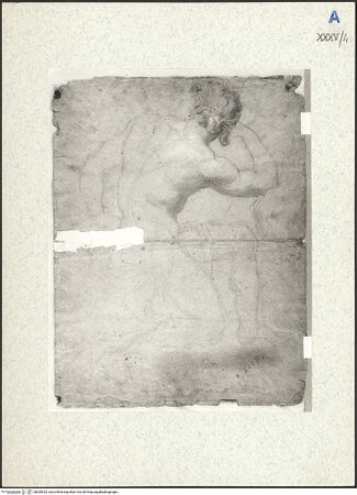 Vorderseite von bh309325_recto