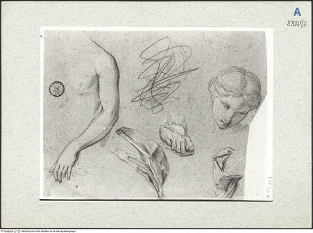 Vorderseite von bh309336_recto