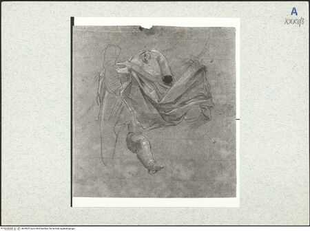 Vorderseite von bh309337_recto