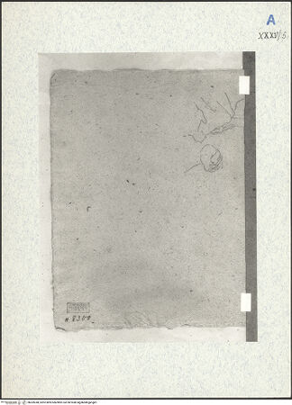 Vorderseite von bh309348_recto