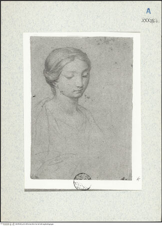 Vorderseite von bh309349_recto