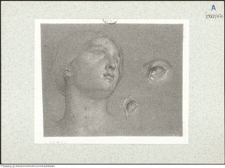 Vorderseite von bh309350_recto