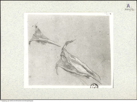 Vorderseite von bh309352_recto