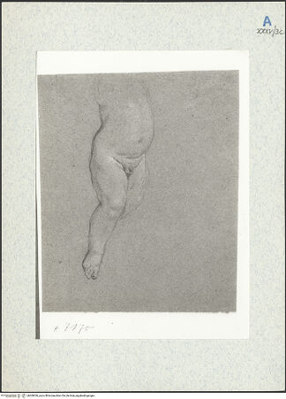 Vorderseite von bh309356_recto